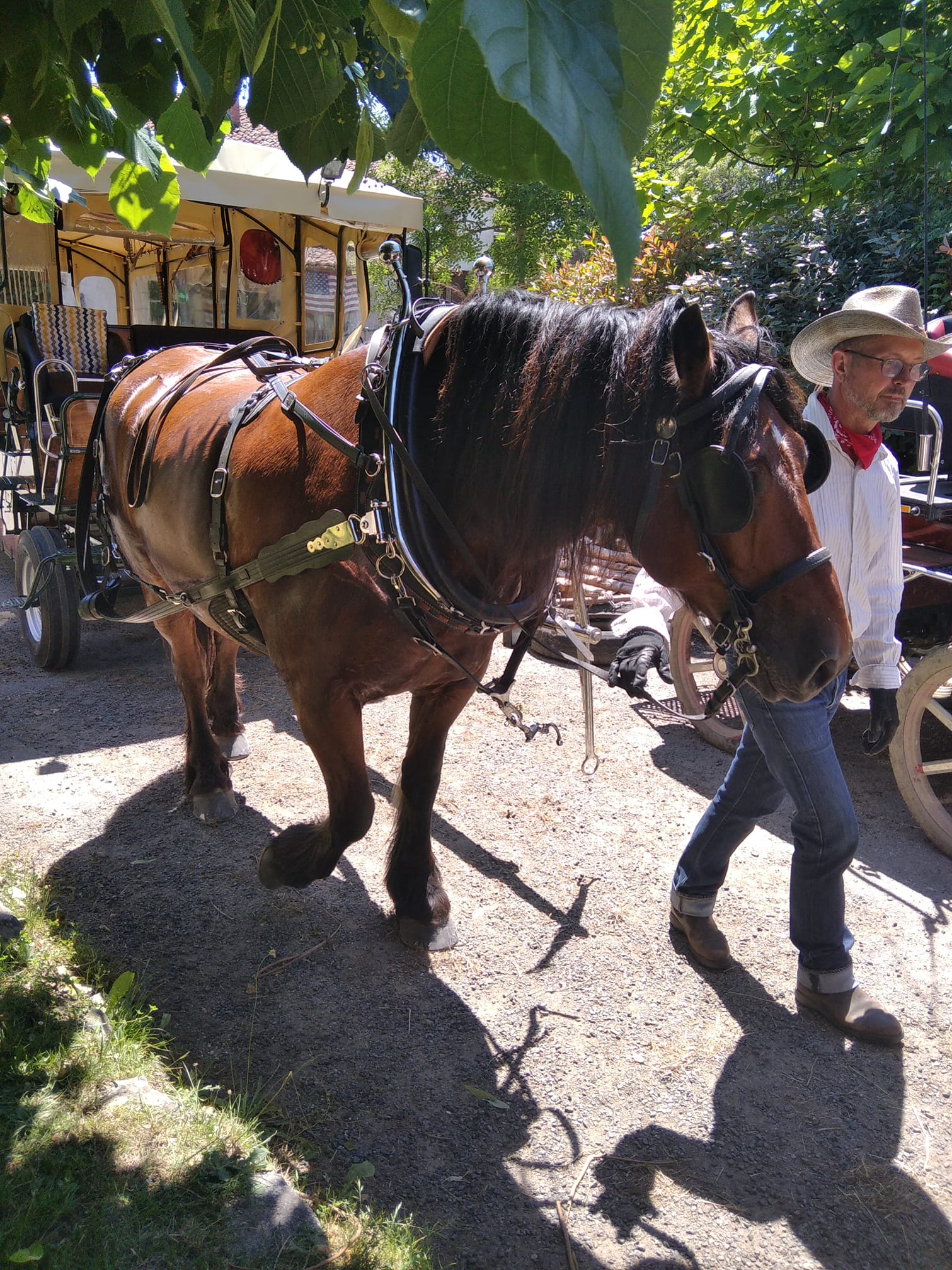 Clos de l isop restaurant roulotte insolite chevaux haute vienne haut limousin elvis cheval de trait