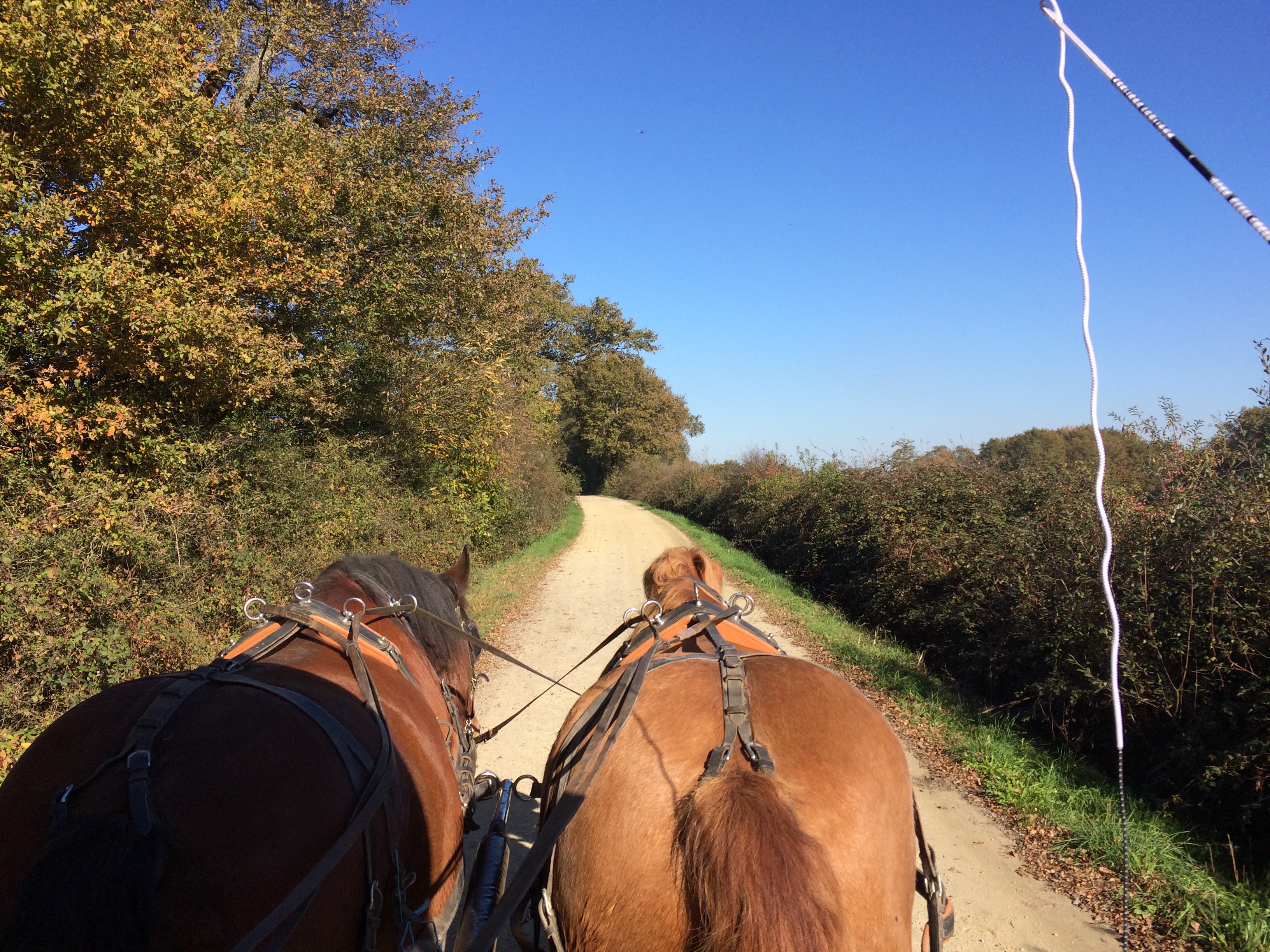 Clos de l isop restaurant roulotte insolite chevaux haute vienne haut limousin