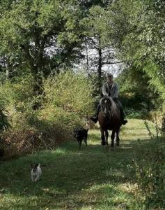 balade-automnale-en-Haut-Limousin-2