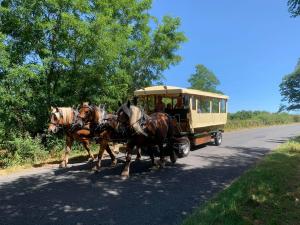 clos-de-l-isoproulotte-a-mangerrestaurantinsolitehaute-viennelimousinchevaux