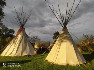 2-tipis-automne